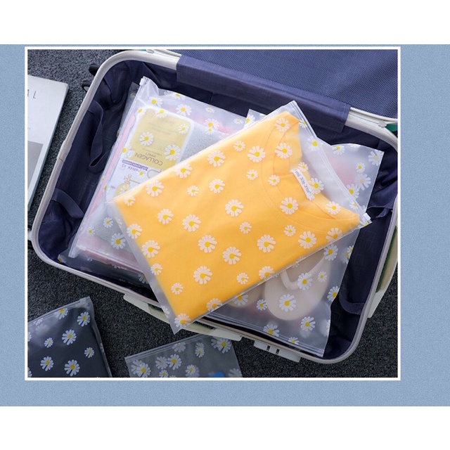 Set 5 Túi Nhựa Đựng Giày / Đồ Trang Điểm Chống Thấm Nước Có Khóa Kéo Tiện Dụng