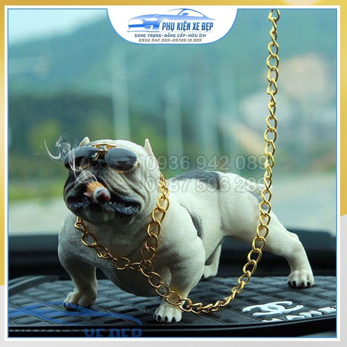 Chó Bulldog gật gù để taplo ô tô nhiều màu