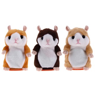 Chuột Hamster biết nói