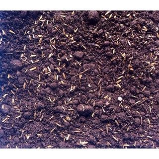 1 KG Đất Trồng Cây Hữu Cơ