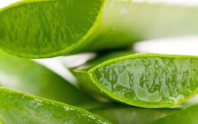 Kem chống nắng dưỡng da lô hội DABO Aloe Stem Rich