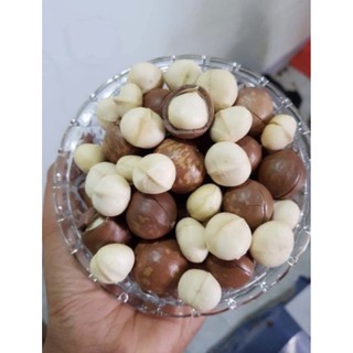 Hạt mắc ca rang sạch đảm bảo chất lượng.