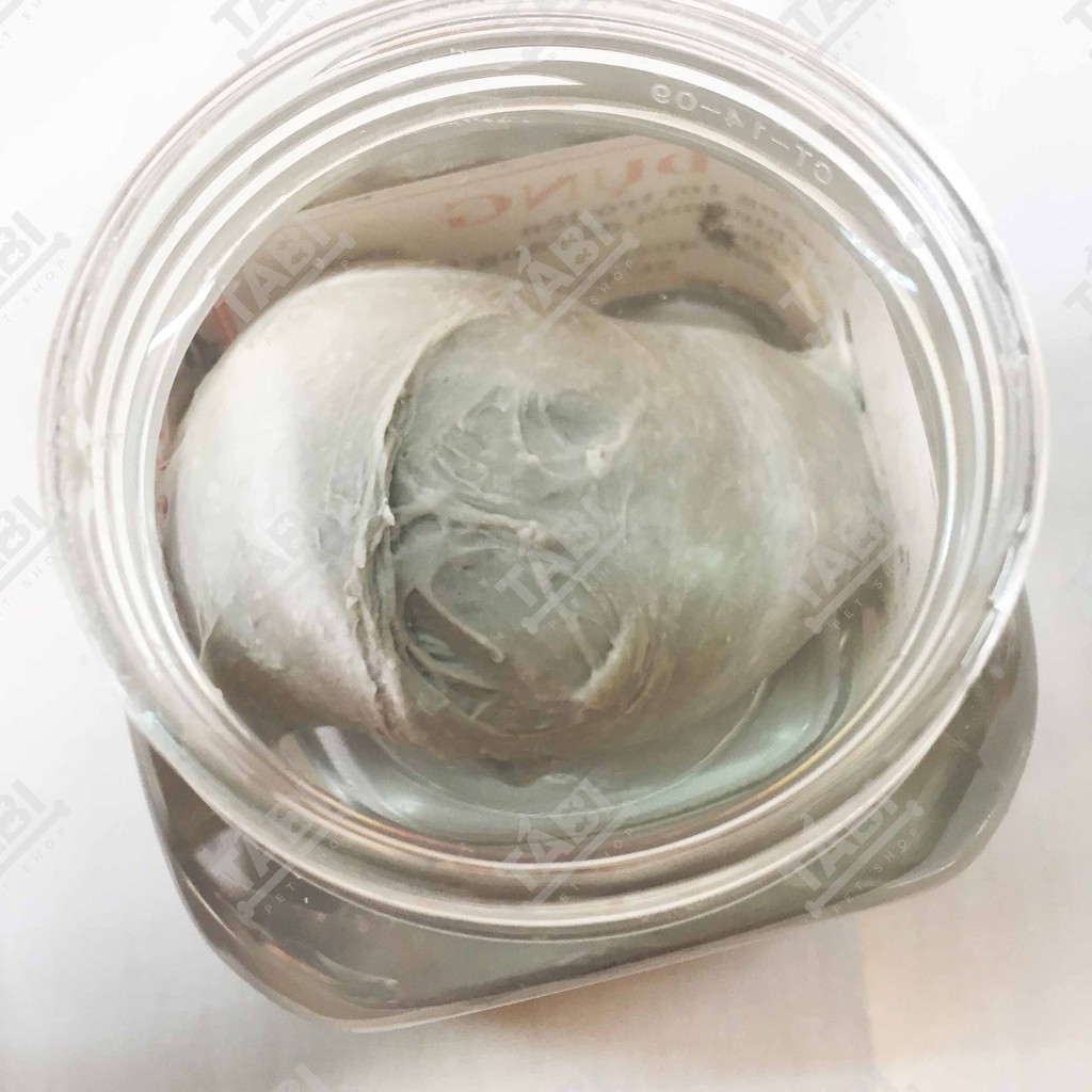 Keo Bẫy Chim Cao Cấp - Keo Bẫy Chim Sẻ Cao Cấp Công Nghệ Hàn Quốc [KEO BẪY CHIM XỊN]