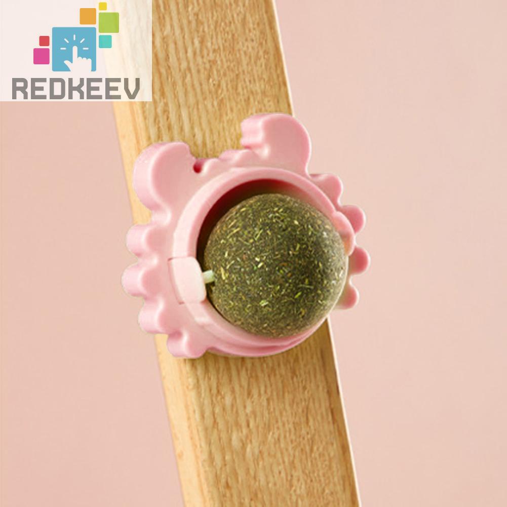 Quả Bóng Đồ Chơi Nhai Cắn Có Thể Xoay Được Cho Mèo Cưng