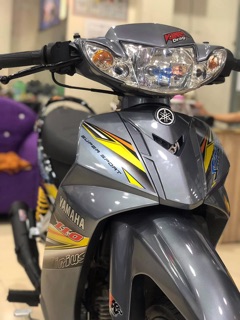 Tem rời Sirius xám đen