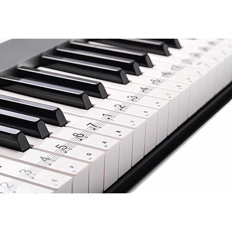 Miếng dán ghi nốt cho đàn piano/keyboard 54/61 phím trong suốt
