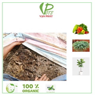 NẤM ĐỐI KHÁNG TRICHODERMA ĐIỀN TRANG GÓI 1KG