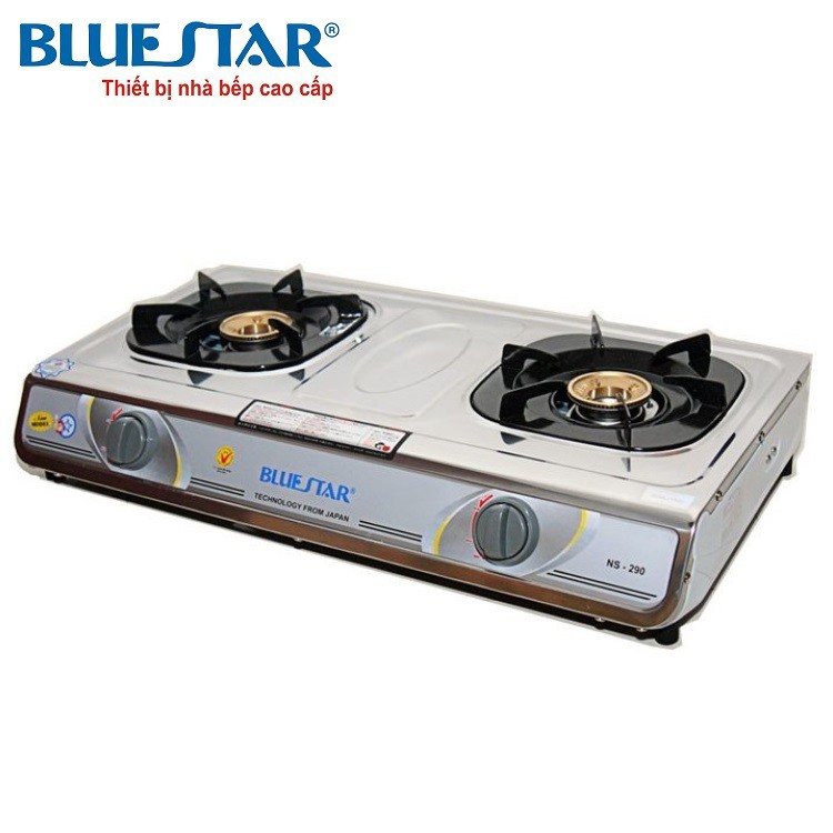 Bếp gas đôi Bluestar NS-290F/S