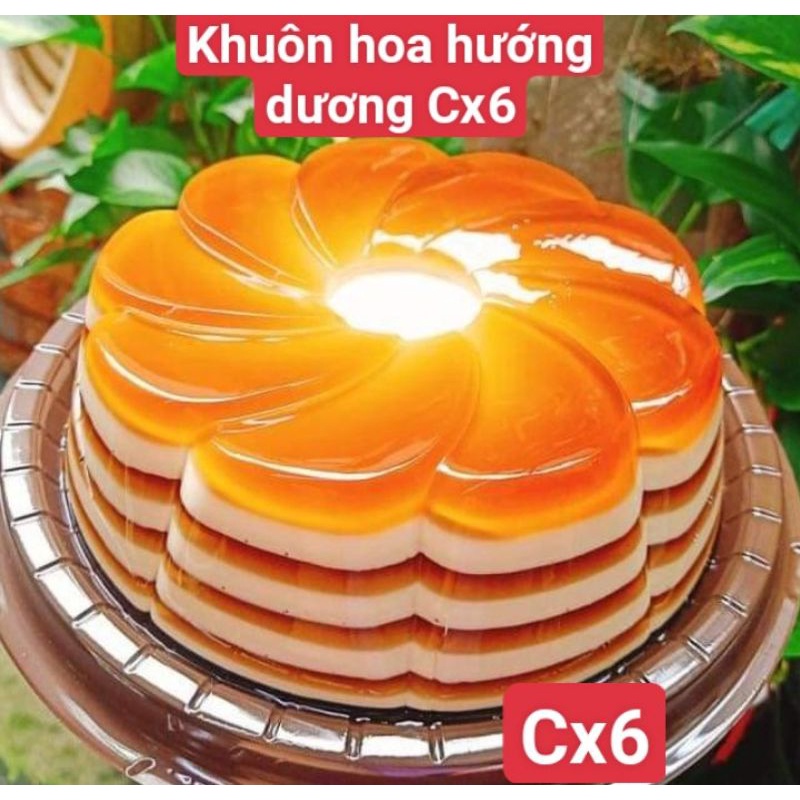 KHUÔN THẠCH RAU CÂU CƠM XÔI LỚN 19 CM NHIỀU MẪU VĨNH TRƯỜNG VN( 11 mẫu )