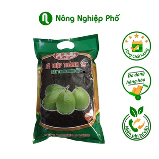 Dây thun, dây chun đen buộc túi bọc ổi - Gói 500 gram