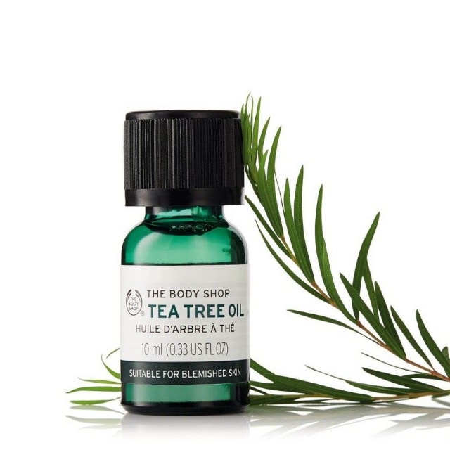 Gel Chấm Mụn Tràm Trà The Body Shop Cho Da Mụn Đỏ Mờ Thâm Tinh Dầu Tea Tree Oil 10ml - Khongcoson