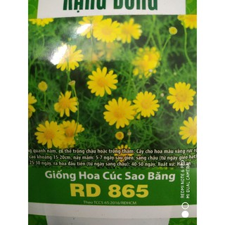 Hạt giống Hoa Cúc sao băng❤️FREESHIP XTRA❤️