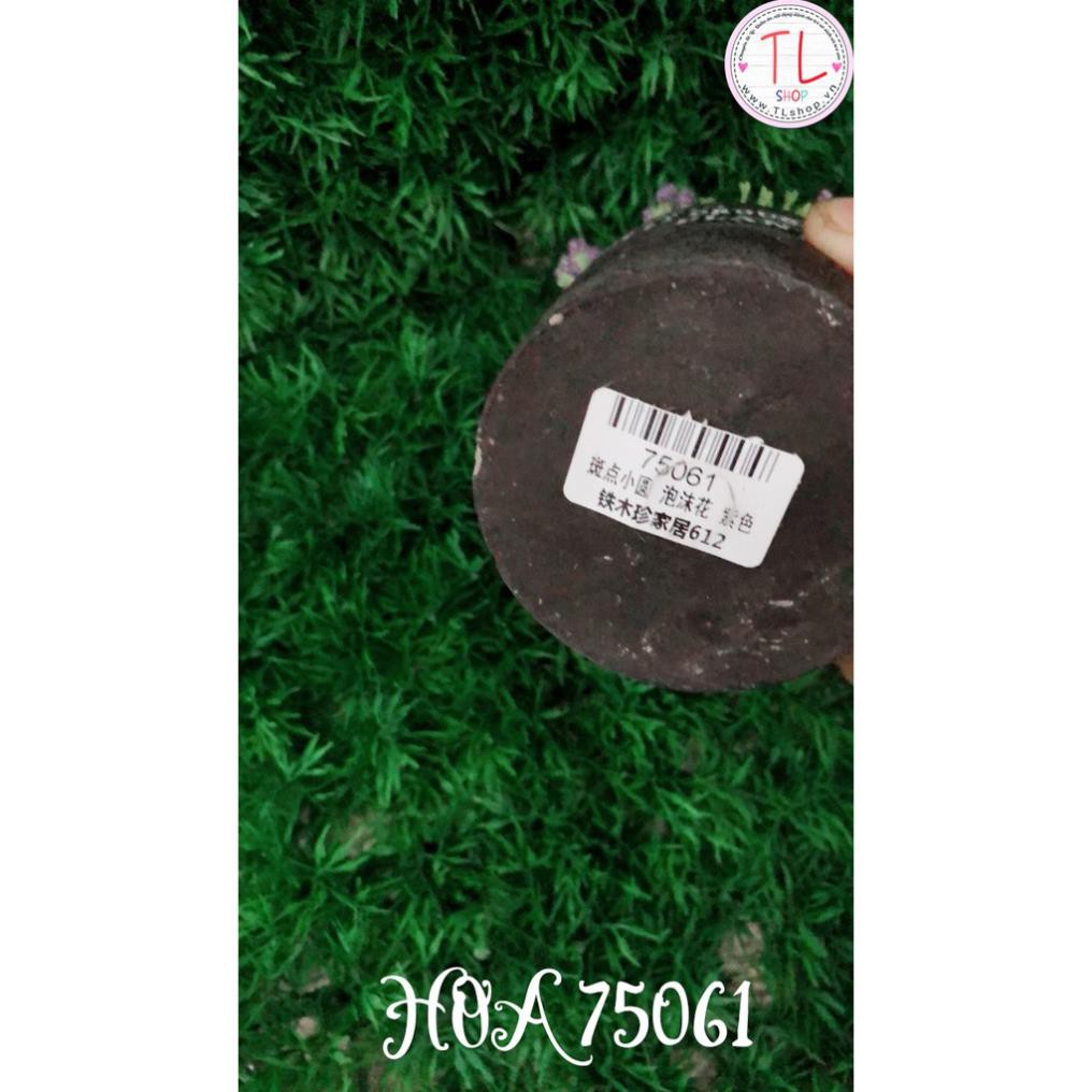 Chậu hoa bi xinh xắn