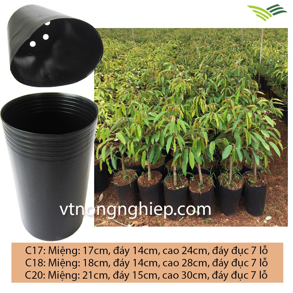 5 Chậu nhựa trồng cây, chậu nhựa đen Vĩ Hiền, chậu trồng hoa, cây cảnh, size từ C5-C10, C17-C20