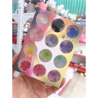 Hoa cẩm tú cầu khay 12 ô ẩn móng siêu xinh