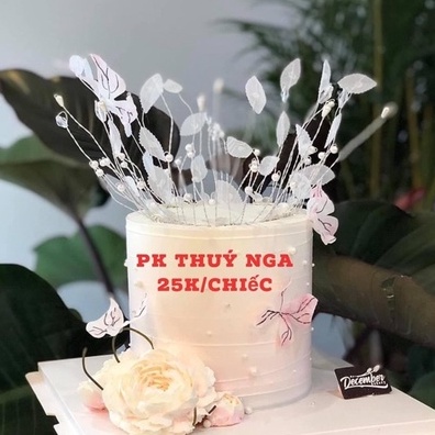 Vương miện tròn lá trắng-Q1282