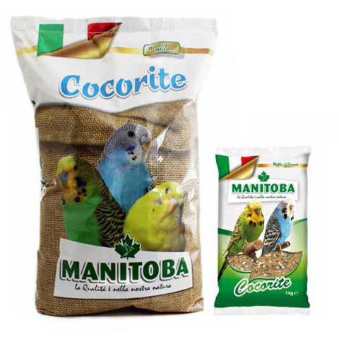 Hạt trộn Yến Phụng Manitoba