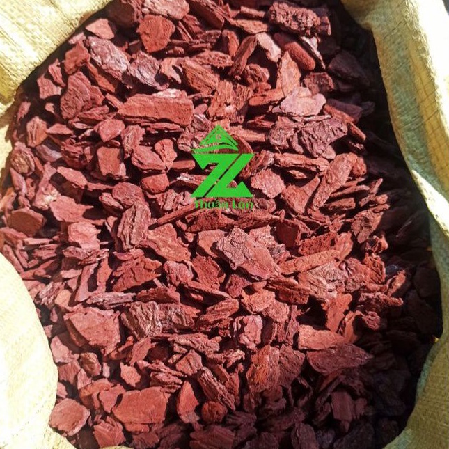 Vỏ Thông Size 2-3cm Túi 1kg