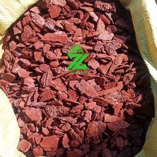 Vỏ thông size 2-3cm túi 1kg