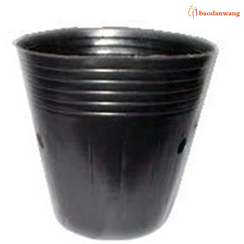 Bộ 50 chậu nhựa ươm mầm trồng cây chất lượng