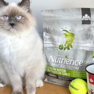 NUTRIENCE 2.27KG | ADULT | KITTEN | SUBZERO | THỨC ĂN HẠT THỊT TƯƠI CHO MÈO | GIÚP MÈO PHÁT TRIỂN TOÀN DIE65N