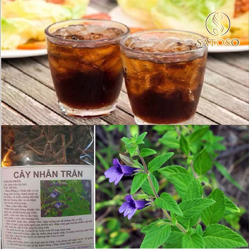 Nhân trần khô SATOSO 1kg thơm ngọt thanh nhiệt tốt cho gan SA40