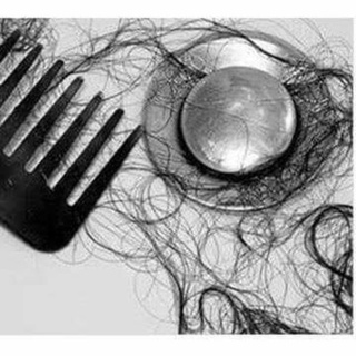 Bột Thông Cống - Nội Địa Nhật Bản