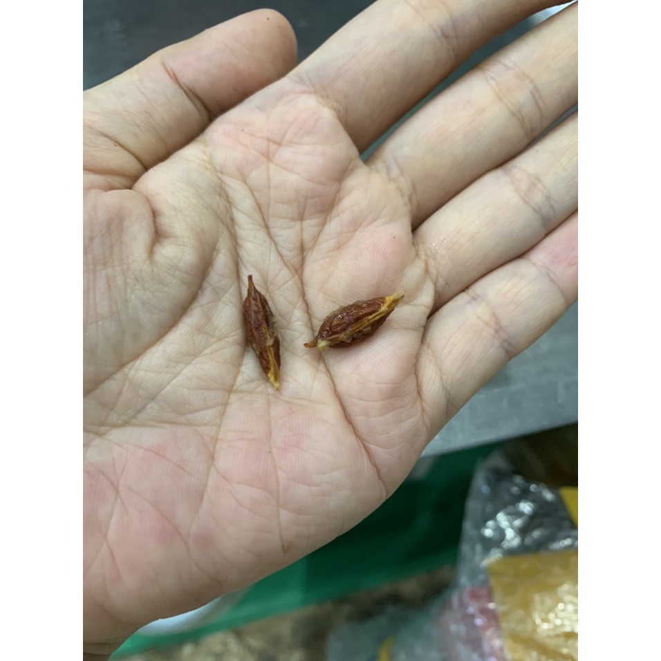 (TÁO KHÔI NHƯỢC KHƯƠNG) Táo đỏ Tân Cương loại khôi nhược khương chuẩn organic 1 túi 500g