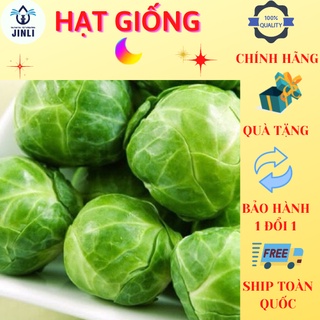Hạt giống bắp cải jl5
