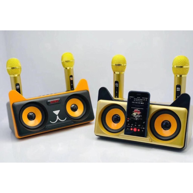 [SALE 10%] Loa karaoke bluetooth SDRD SD-305 20W có bluetooth tặng kèm mic