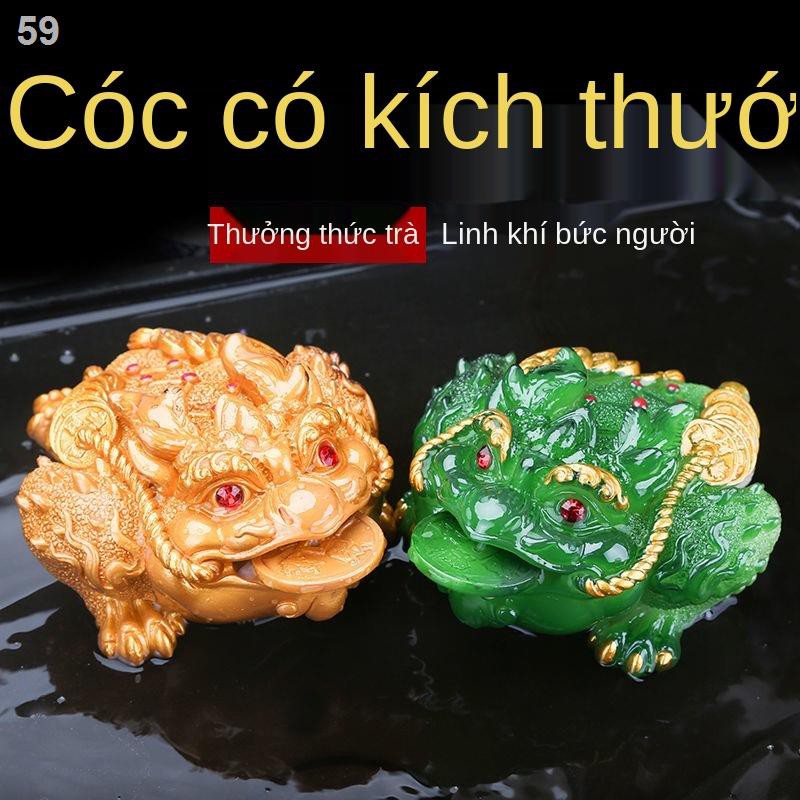 Đồ trang trí thú cưng trà đổi màu cửa hàng táo sáng tạo  Kung Fu Tea Set phụ kiện Thỏiy mắn Jin Chan kiếm tiề