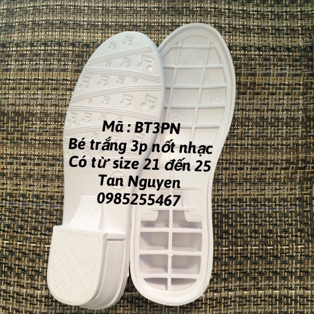 Đế trắng nốt nhạc