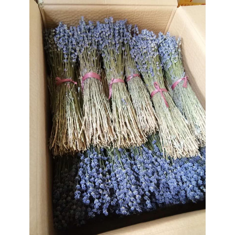 Bó hoa khô hoa lavender 130G + tặng kèm túi thơm