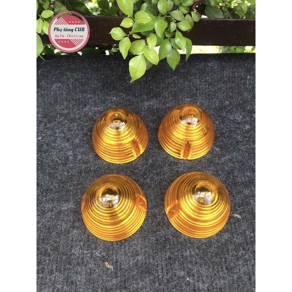 Chụp xi nhan dame - 67 bánh ú hàng Thái ( giá 1 chụp )