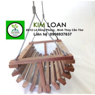 Combo 2 chậu lan gỗ xích đu 27x16cm