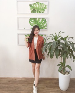 Blazer 250k