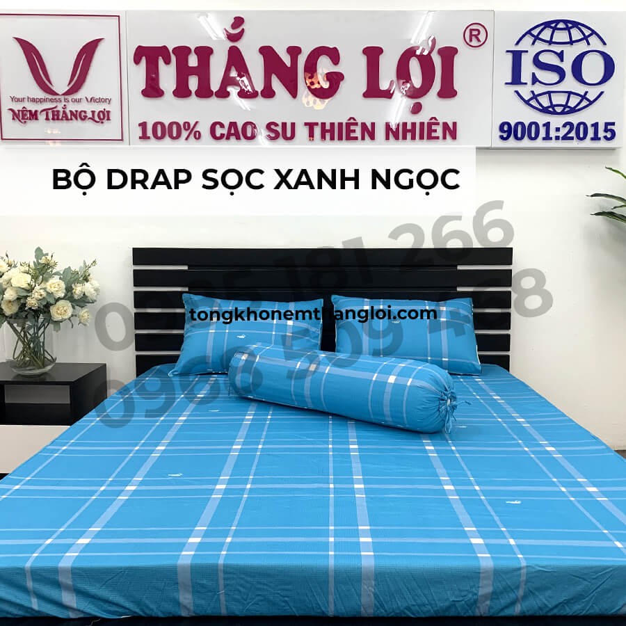 [Ảnh Thật] Sọc Xanh Ngọc - Bộ Drap Cotton 4 món Thắng Lợi Chính Hãng