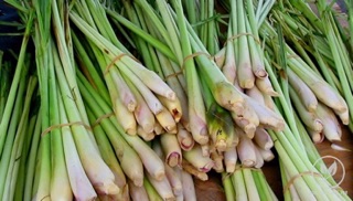 🌼SẢ SẤY KHÔ-1KG/200k