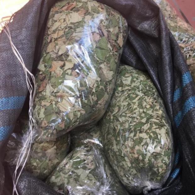 Lá sen khô 1 kg bịch to đùng Hà Nội