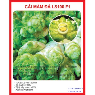 Hạt giống cải mầm đá F1 - 0.2 gr - HGT