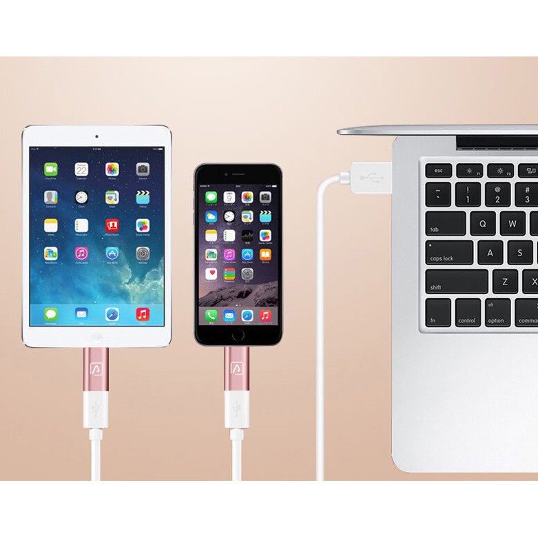 Đầu kết nối chuyển đổi cổng Micro USB sang cáp sạc tiện dụng cho Iphone