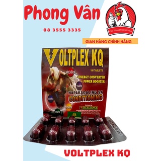 Voltplex kq - nuôi gà 3 ngày cuối chuẩn bị đá