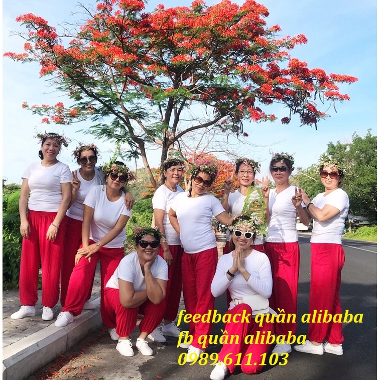 💛🧡💚 QUẦN ALIBABA MÀU TRƠN