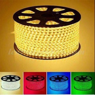 Dây led 2 hàng bóng 2835 trang trí dịp tết- cuộn 100m