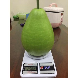 [Hạt Giống Đài Loan] Bầu Mie Đài Loan (Gió lẻ 5 hạt)