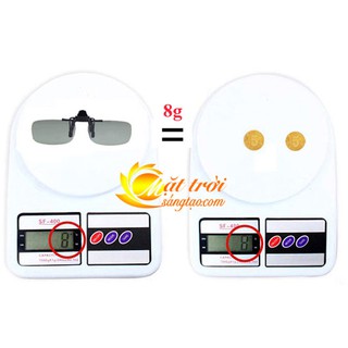 Mắt kính phân cực BERTHA