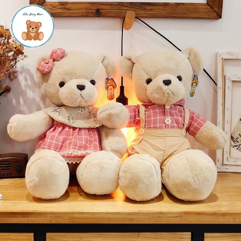 Gấu Bông Teddy - Teddy Đôi Dễ Thương Cho Bé - Gấu Bông Mina