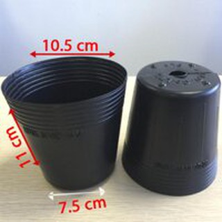 Chậu nhựa mềm C5 (10 cái)