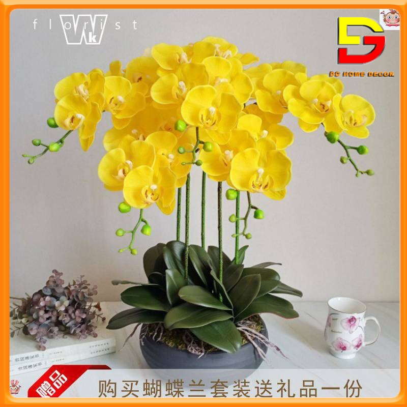 Bình Hoa Lan Hồ Điệp Cao Cấp Chậu Hoa Để Bàn Y Thật Cao 60cm Rộng 46cm Trang Trí Nhà Cửa DG-123