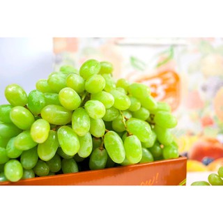 Hạt giống nho Pháp
